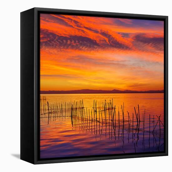 La Albufera Lake Sunset in El Saler of Valencia at Spain-Naturewolrd-Framed Stretched Canvas