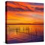 La Albufera Lake Sunset in El Saler of Valencia at Spain-Naturewolrd-Stretched Canvas