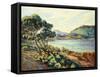 La Baie d'Agay, c.1910-Armand Guillaumin-Framed Stretched Canvas