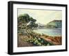 La Baie d'Agay, c.1910-Armand Guillaumin-Framed Giclee Print