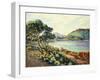 La Baie d'Agay, c.1910-Armand Guillaumin-Framed Giclee Print