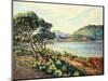 La Baie d'Agay, c.1910-Armand Guillaumin-Mounted Giclee Print