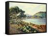 La Baie d'Agay, c.1910-Armand Guillaumin-Framed Stretched Canvas
