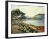 La Baie d'Agay, c.1910-Armand Guillaumin-Framed Giclee Print