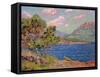 La Baie D'Agay, Cote D'Azur, C. 1910-Jean-Baptiste Armand Guillaumin-Framed Stretched Canvas