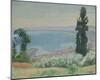 La Baie d'Alger, Vue d'El-Biar-Albert Marquet-Mounted Giclee Print