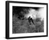 La Belle and la Bete by JeanCocteau with Jean Marais, 1946 (b/w photo)-null-Framed Photo