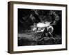 La Belle and la Bete by JeanCocteau with Josette Day and Jean Marais, 1946 (b/w photo)-null-Framed Photo