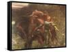 La Belle Dame Sans Merci-Frank Bernard Dicksee-Framed Stretched Canvas