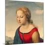 La Belle Jardiniere, 1507 (Oil on Panel) (Detail of 8546)-Raphael-Mounted Giclee Print