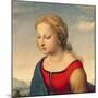 La Belle Jardiniere, 1507 (Oil on Panel) (Detail of 8546)-Raphael-Mounted Giclee Print