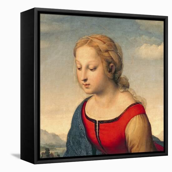 La Belle Jardiniere, 1507 (Oil on Panel) (Detail of 8546)-Raphael-Framed Stretched Canvas