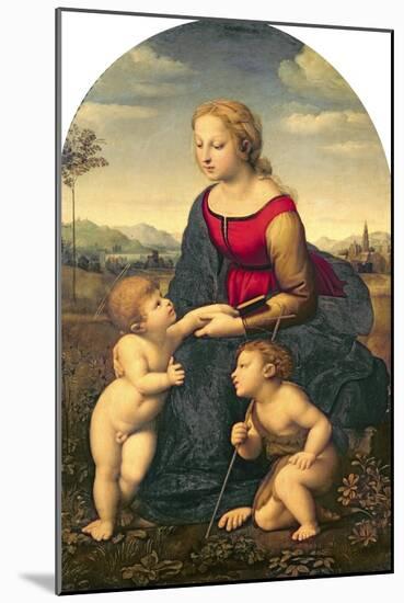 La Belle Jardiniere, 1507-Raphael-Mounted Giclee Print