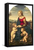 La Belle Jardiniere, 1507-Raphael-Framed Stretched Canvas