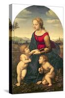 La Belle Jardiniere, 1507-Raphael-Stretched Canvas