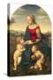 La Belle Jardiniere, 1507-Raphael-Stretched Canvas
