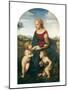 La Belle Jardiniere-Raphael-Mounted Art Print