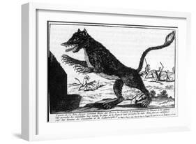 La Bete Du Gevaudan the Beast at Large-null-Framed Art Print