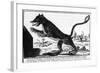 La Bete Du Gevaudan the Beast at Large-null-Framed Art Print