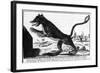 La Bete Du Gevaudan the Beast at Large-null-Framed Art Print