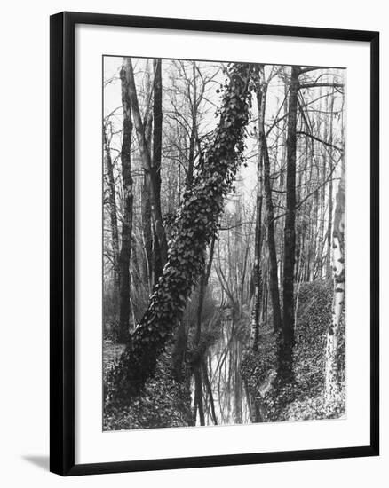 La Bievre, Boulevard d'Italie-Eugene Atget-Framed Giclee Print