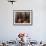 La Bodeguita Del Medio Restaurant, with Signed Walls and People Eating, Habana Vieja, Cuba-Eitan Simanor-Framed Photographic Print displayed on a wall