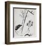 La Bouquet a la Main-Marc Chagall-Framed Collectable Print