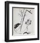 La Bouquet a la Main-Marc Chagall-Framed Collectable Print