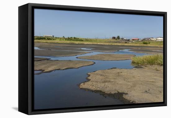 La Brea Pitch Lake-Tony-Framed Stretched Canvas