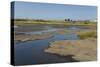 La Brea Pitch Lake-Tony-Stretched Canvas