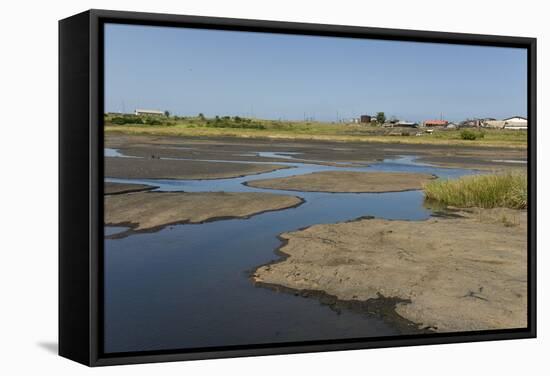 La Brea Pitch Lake-Tony-Framed Stretched Canvas