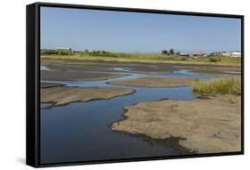 La Brea Pitch Lake-Tony-Framed Stretched Canvas