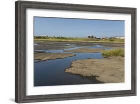 La Brea Pitch Lake-Tony-Framed Photographic Print