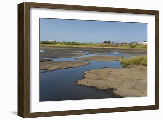 La Brea Pitch Lake-Tony-Framed Photographic Print