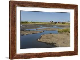 La Brea Pitch Lake-Tony-Framed Photographic Print