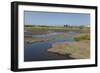 La Brea Pitch Lake-Tony-Framed Photographic Print