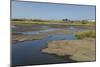 La Brea Pitch Lake-Tony-Mounted Photographic Print