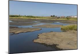 La Brea Pitch Lake-Tony-Mounted Photographic Print