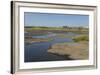 La Brea Pitch Lake-Tony-Framed Photographic Print