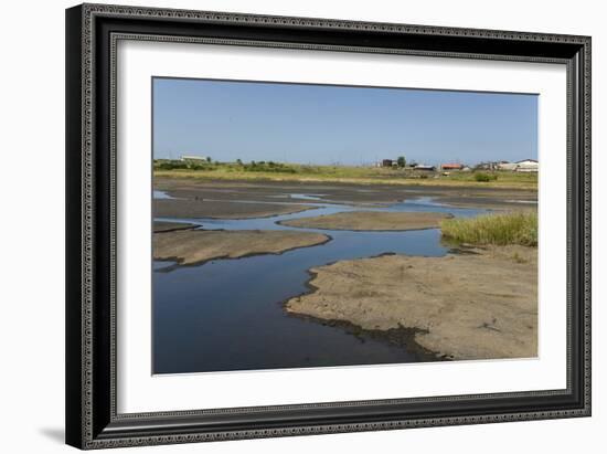 La Brea Pitch Lake-Tony-Framed Photographic Print