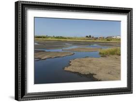 La Brea Pitch Lake-Tony-Framed Photographic Print