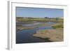 La Brea Pitch Lake-Tony-Framed Photographic Print