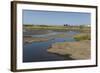 La Brea Pitch Lake-Tony-Framed Photographic Print