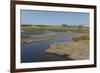 La Brea Pitch Lake-Tony-Framed Photographic Print