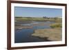 La Brea Pitch Lake-Tony-Framed Photographic Print