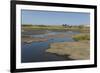 La Brea Pitch Lake-Tony-Framed Photographic Print