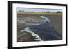 La Brea Pitch Lake-Tony-Framed Photographic Print