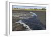 La Brea Pitch Lake-Tony-Framed Photographic Print