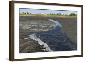 La Brea Pitch Lake-Tony-Framed Photographic Print