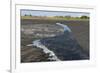 La Brea Pitch Lake-Tony-Framed Photographic Print